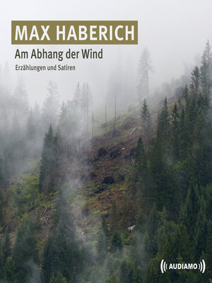 cover image of Am Abhang der Wind